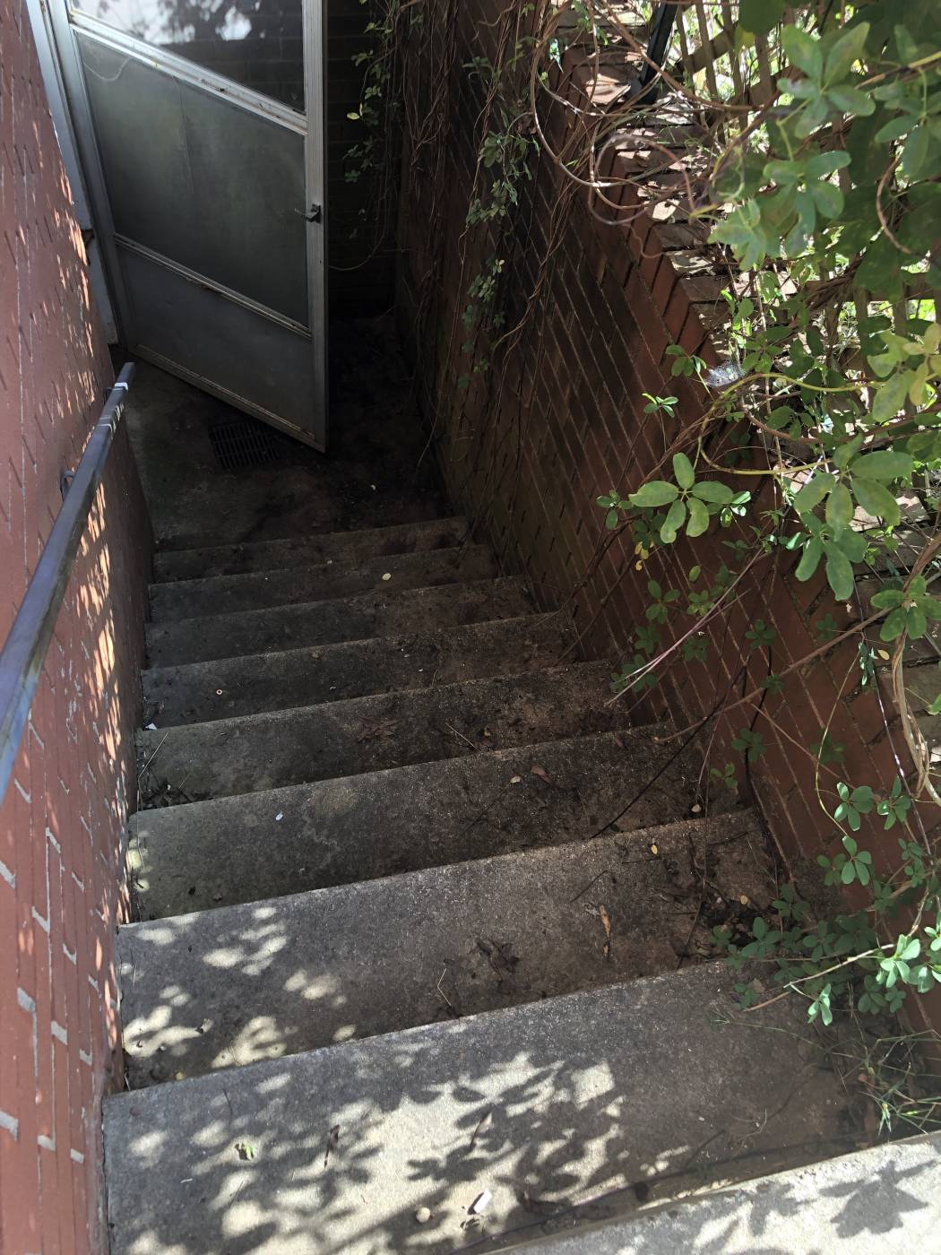 basement_steps